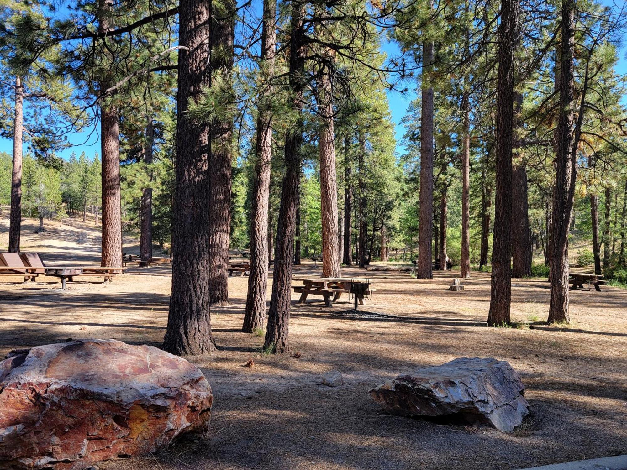 Four Seasons Getaway-Private Hot Spa With Pine Tree Views-Walk To Village And Pineknot Trailhead-Plus King Bed! Big Bear Lake Exterior foto